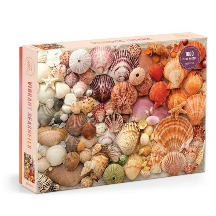 Vibrant Seashells Puzzle - Becket Hitch