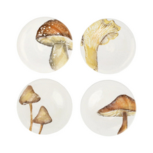 Load image into Gallery viewer, Autunno Mushroom Canape Plates - becket hitch
