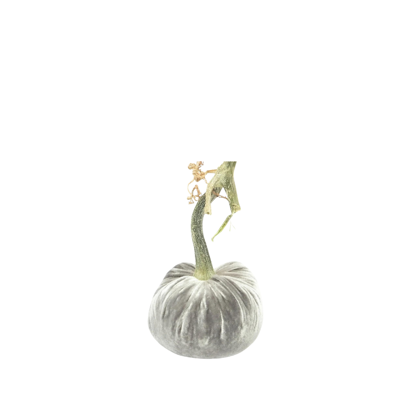 Velvet Pumpkin 4