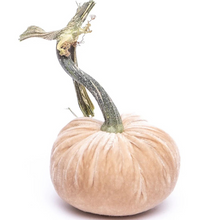 Load image into Gallery viewer, Velvet Pumpkin 8&quot; _ Becket Hitch
