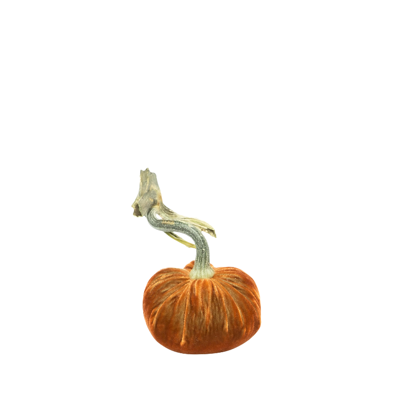 Velvet Pumpkin 4