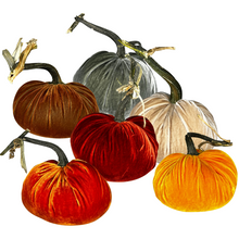 Load image into Gallery viewer, Velvet Pumpkin 10&quot; - becket hitch
