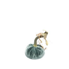 Load image into Gallery viewer, Velvet Pumpkin 4&quot;-Becket Hitch
