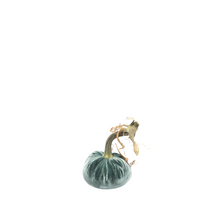 Load image into Gallery viewer, Velvet Pumpkin 3&quot;-Becket Hitch
