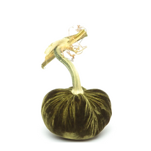 Load image into Gallery viewer, Velvet Pumpkin 8&quot;
