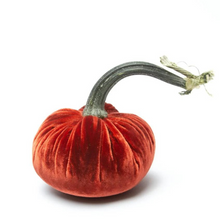 Load image into Gallery viewer, Velvet Pumpkin 8&quot; _ Becket Hitch
