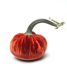 Load image into Gallery viewer, Velvet Pumpkin 3&quot;
