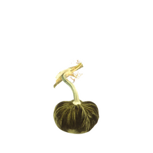 Load image into Gallery viewer, Velvet Pumpkin 4&quot;-Becket Hitch
