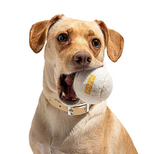 Load image into Gallery viewer, Dog Toy Tennis Balls in White
