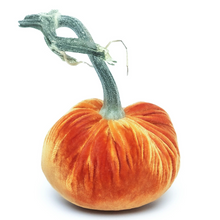 Load image into Gallery viewer, Velvet Pumpkin 4&quot;
