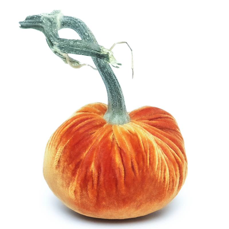 Velvet Pumpkin 8