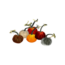 Load image into Gallery viewer, Velvet Pumpkin 4&quot; - Becket HItch
