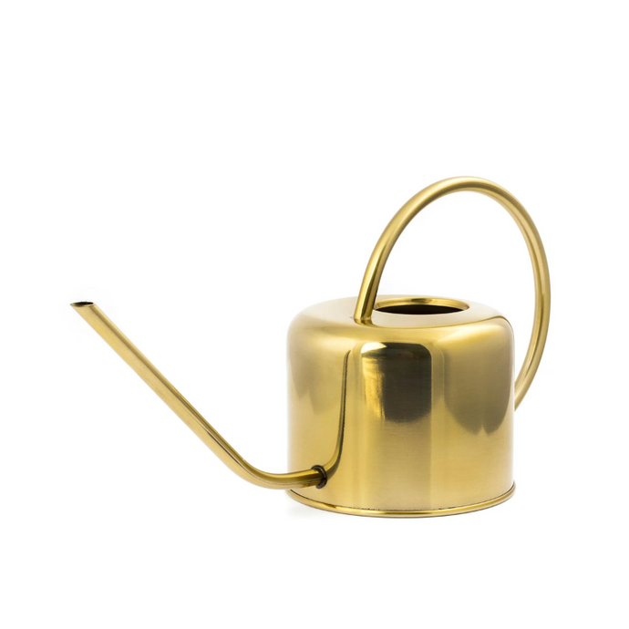 Vintage Watering Can - Becket Hitch