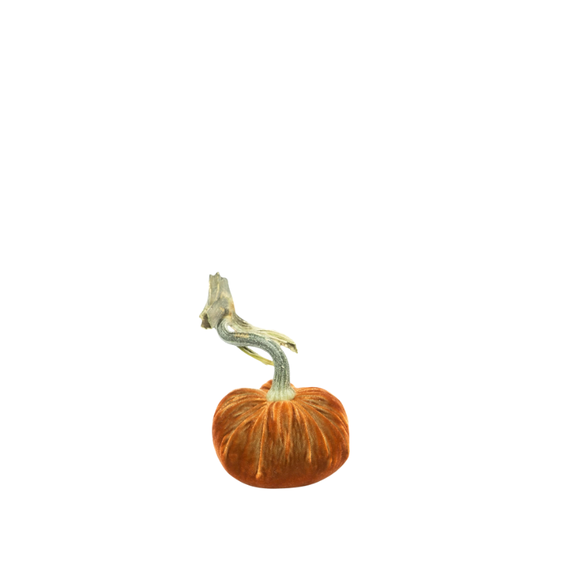 Velvet Pumpkin 3