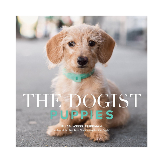 The Dogist Puppies-Becket Hitch