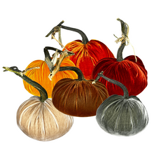 Load image into Gallery viewer, Velvet Pumpkin 6&quot; - Becket Hitch
