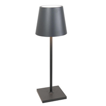 Load image into Gallery viewer, Dark Grey Poldina Pro Desk Lamp - Becket Hitch
