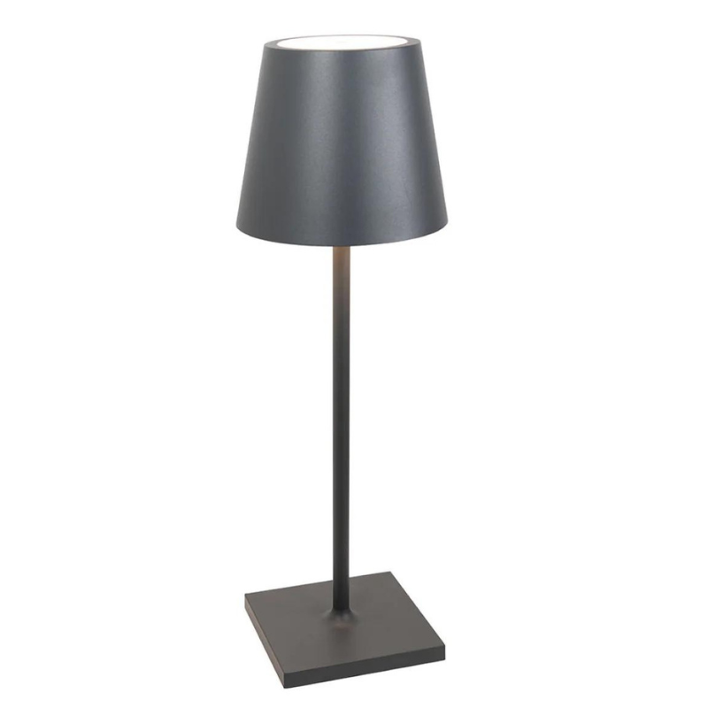 Dark Grey Poldina Pro Desk Lamp