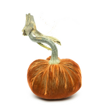 Load image into Gallery viewer, Velvet Pumpkin 10&quot;-Becket Hitch
