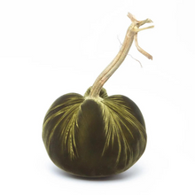 Load image into Gallery viewer, Moss Jumbo Velvet Pumpkin-becket hitch
