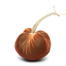 Load image into Gallery viewer, Sandgreen Jumbo Velvet Pumpkin-Becket Hitch
