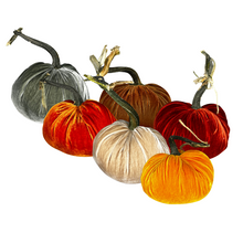 Load image into Gallery viewer, Velvet Pumpkin 8&quot; _ Becket Hitch
