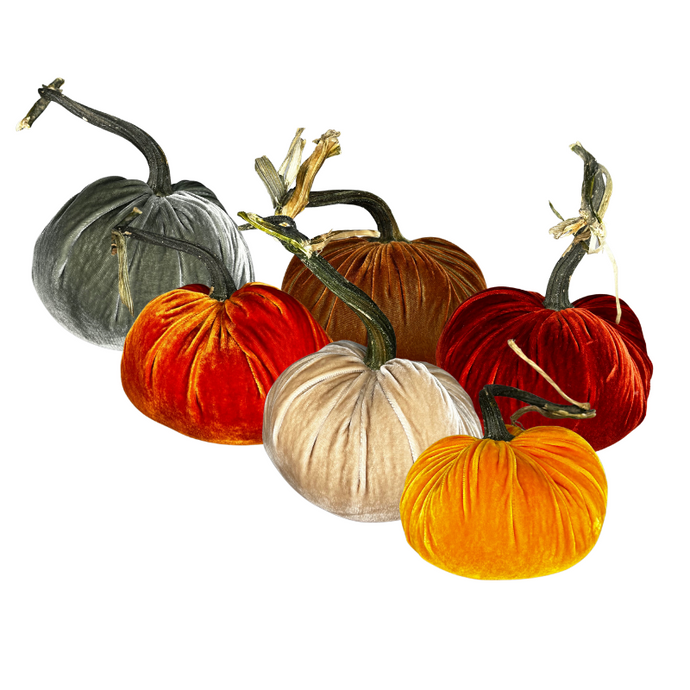 Velvet Pumpkin 8