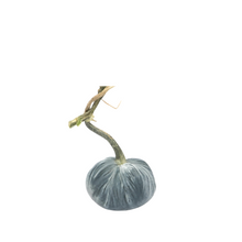 Load image into Gallery viewer, Velvet Pumpkin 4&quot;-Becket Hitch
