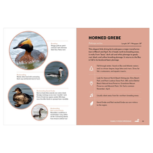 Load image into Gallery viewer, Birds of the Chesapeake Bay - Becket Hitch
