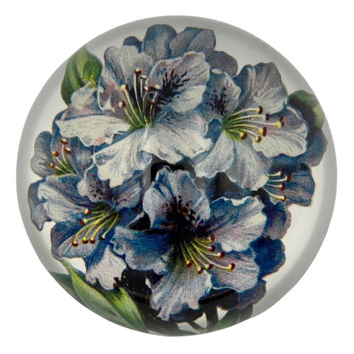 Blue Hibiscus Paperweight - Becket Hitch