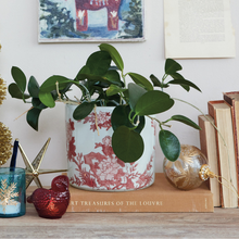 Load image into Gallery viewer, Burgundy Botanicals Planter - Becket Hitch
