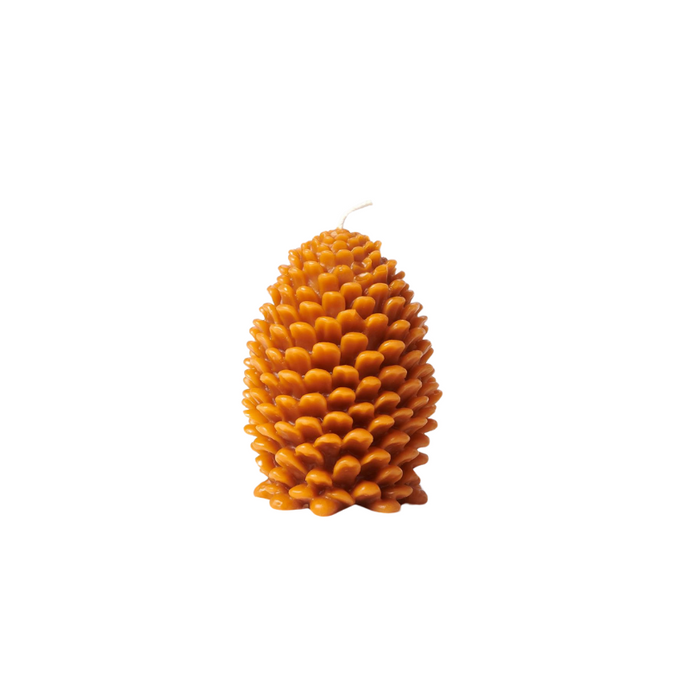 Burnt Amber Jumbo Pine Cone Candle-Becket Hitch