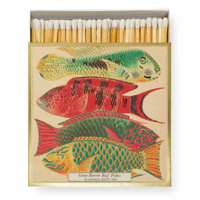 Fish Matches - Becket Hitch