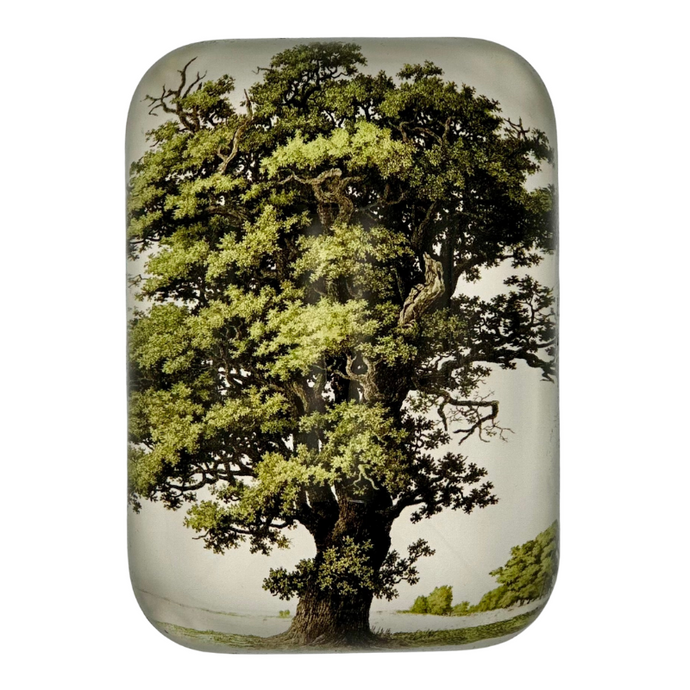 Large Oak Square Paperweight - Becket Hitch