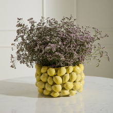 Load image into Gallery viewer, Layered Lemon Pot-Becket Hitch
