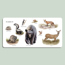 Load image into Gallery viewer, Our Big Book of Animals - Becket Hitch

