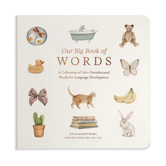 Our Big Book of First Words-Becket Hitch