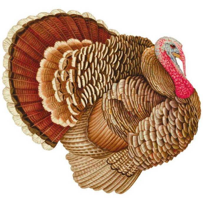 Turkey Paper Placemats-Becket Hitch