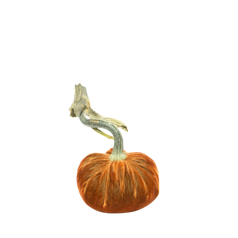 Velvet Pumpkin 5