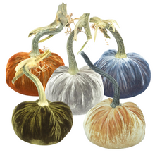 Load image into Gallery viewer, Velvet Pumpkin 10" 2 - Becket Hitch 
