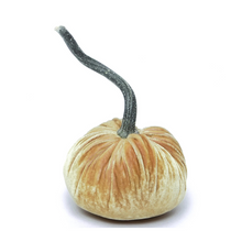 Load image into Gallery viewer, Velvet Pumpkin 10"-Becket Hitch

