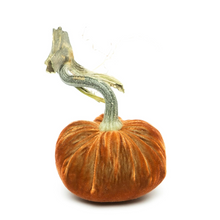 Load image into Gallery viewer, Velvet Pumpkin 10"-Becket Hitch
