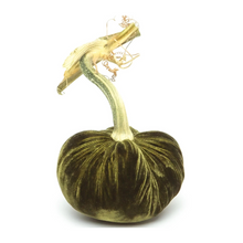 Load image into Gallery viewer, Velvet Pumpkin 10"-Becket Hitch
