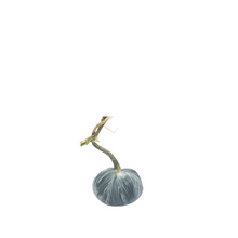 Load image into Gallery viewer, Velvet Pumpkin 3"-Becket Hitch
