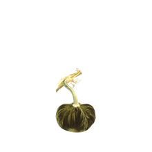 Load image into Gallery viewer, Velvet Pumpkin 3"-Becket Hitch
