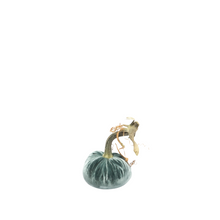 Load image into Gallery viewer, Velvet Pumpkin 3"-Becket Hitch
