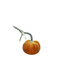 Load image into Gallery viewer,  Velvet Pumpkin 4"-Becket Hitch
