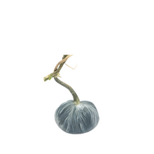 Load image into Gallery viewer, Velvet Pumpkin 4"-Becket Hitch

