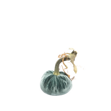 Load image into Gallery viewer, Velvet Pumpkin 4"-Becket Hitch
