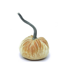 Load image into Gallery viewer, Velvet Pumpkin 8"-Becket Hitch

